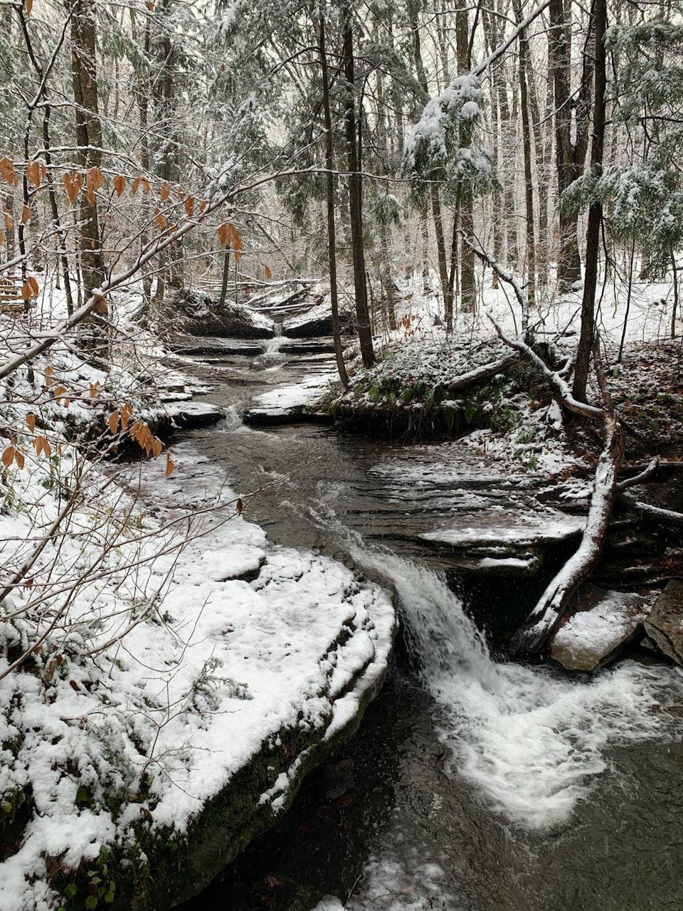 Campground Details PIXLEY FALLS STATE PARK, NY New York State Parks